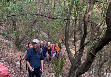 Tour Wandern Le Revest-les-Eaux - Le revest les eaux - Photo