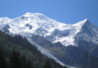 Tour Zu Fuß Chamonix-Mont-Blanc - Chalet des Pyramides - Photo