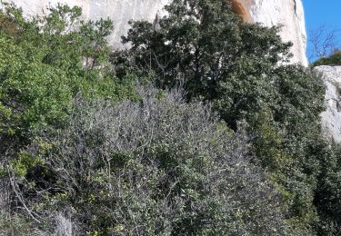 Tour Wandern Belcodène - ruisseau du toneau - Photo