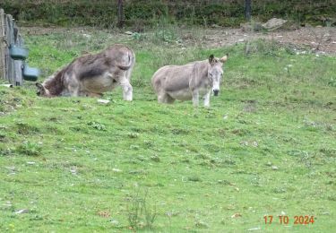 Tocht Stappen Stoumont - La Gleize (Ruy - Exbomont - Mont des Brumes) - Photo