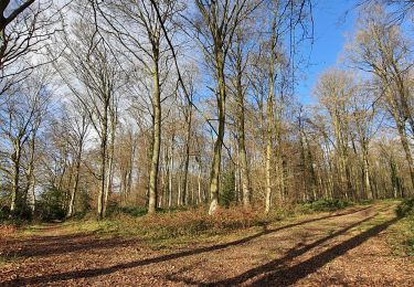 Trail Walking Martagny - Martagny, forêt domaniale de Lyons et le monument de la Rougemare - Photo