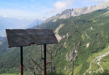 Tocht Stappen Arbaz - Anzère  - Photo