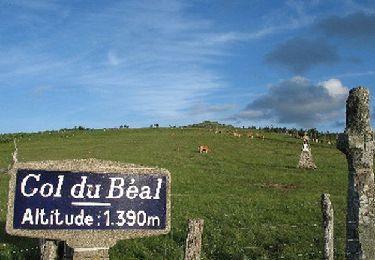 Randonnée Marche Saint-Pierre-la-Bourlhonne - Le Col du Béal - Photo