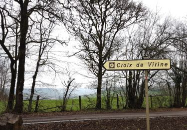 Trail Walking Bouxières-aux-Bois - Bouxieres-aux-bois : Le circuit de Virine - Photo