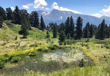 Trail Walking Chamrousse - Chamrousse 20-07-2021 - Photo