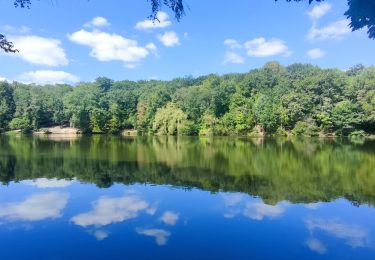 Tour Wandern Clamart - Ballade digestive autour des étangs de la forêt de Meudon  - Photo