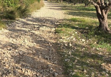 Tour Wandern Aramon - les capitelles d'Aramon - Photo