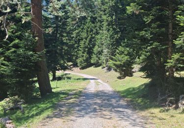 Tocht Stappen Saint-Lary-Soulan - hospice de rioumajou  - Photo