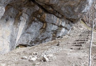 Tour Schneeschuhwandern Puygros - Pic de Sauge - Photo