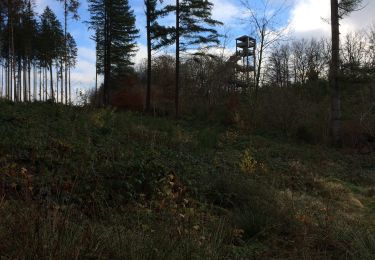 Trail Walking Bouillon - Bouillon L’Epine - Photo