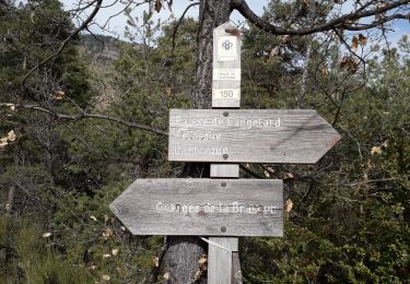 Trail Walking Lantosque - pointe de colla bassa - Photo