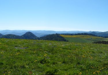 Tour Wandern Saint-Martial - Tour des sucs :Sepoux-Seponet-Sommet Lauziére-Taupernas - Photo