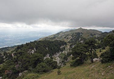 Randonnée A pied Lélex - Crêt de la Neige et Valserine - Photo