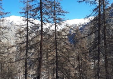 Percorso Sci alpinismo Crévoux - 210320 col de Girabeau - Photo