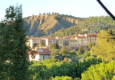Randonnée A pied Riolo Terme - Petalo di Gallisterna - Photo