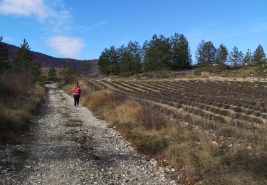 Excursión Senderismo Les Omergues - des Omergues à Montfroc - Photo