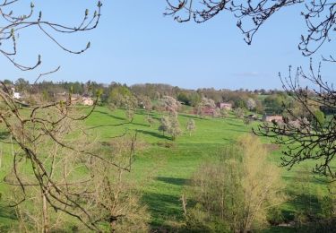 Randonnée Marche Blegny - A la découverte de Blegny  - Photo