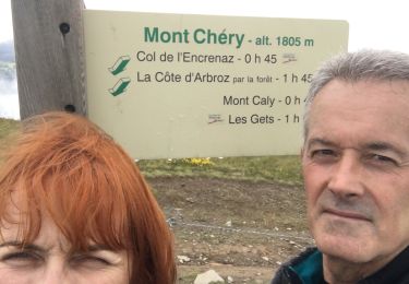 Tour Wandern Les Gets - Mont Chery + Hors piste - Photo