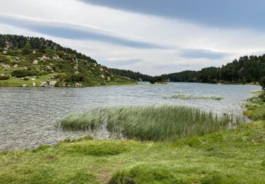 Tocht Stappen Angoustrine-Villeneuve-des-Escaldes - Lacs d’en bas - Photo