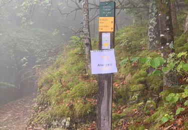 Trail Walking Saint-Nizier-du-Moucherotte - Vercouline jaune - Photo