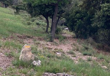 Tour Pfad Montpeyroux - Fond du griffe-Mont saint baudille - Photo