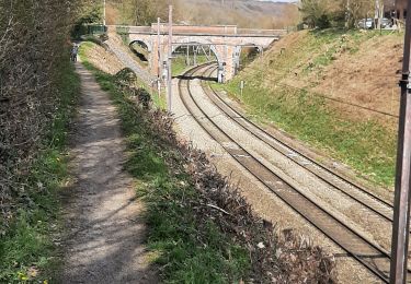 Tocht Mountainbike Ham-sur-Heure-Nalinnes - Lobbes - Photo