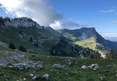 Tour Wandern Saint-Pierre-de-Chartreuse - Col de la petite vache   Grande Sûre  Col d’hurtière  - Photo