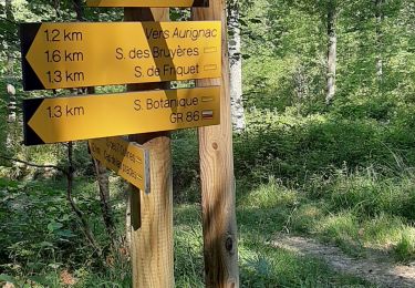 Trail Walking Boussan - Aurignac S. Botanique  - Photo