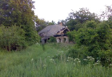 Tour Zu Fuß Sankt Gall - P+ (OKT - Pisztrángos-tó - Csehbánya - Közép-Dunántúli Piros) - Photo