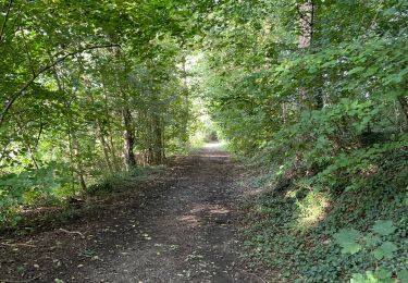 Excursión Senderismo Grez-Doiceau - Créa Doicaux incomplet - Photo