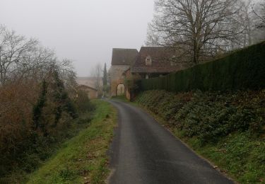Randonnée Marche Paunat - Paunat 12,5km - Photo