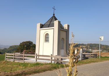 Tocht Elektrische fiets Ronse - Saint-Sauveur - Beausite - Photo