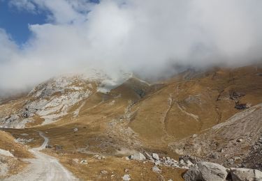 Trail Walking Savièse - Une cabane dans les rochers - Photo