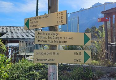 Tocht Stappen Les Houches - J7 - Les Houches > Chamonix par le Chemin des Villages - Photo