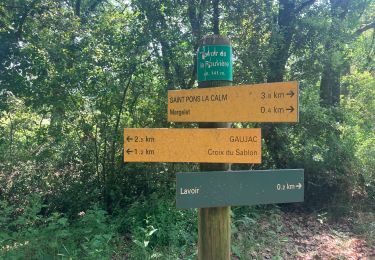 Trail Walking Gaujac - Oppidum - Photo