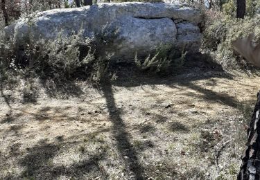 Tocht Stappen Mazaugues - Grottes de la Baume St Michel (Caramy) - Photo