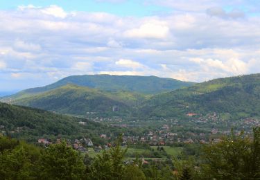 Trail On foot Bystra - Buczkowice Centrum - Chata na Groniu - Photo