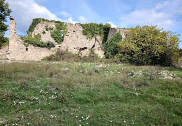 Randonnée A pied Mazaugues - Mazaugues-Mourre d'Agnis-23-10-2024 - Photo