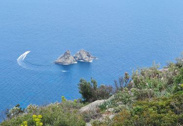 Tour Wandern La Seyne-sur-Mer - Janas Sicié - Photo