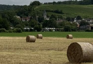 Tocht Stappen Château-Thierry - Rando- dimanche du 21-07-2024 - Photo