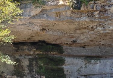 Trail Walking Le Frasnois - La Fromagerie  - Photo