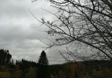 Tour Wandern Manhay - en face de la chavée - Photo