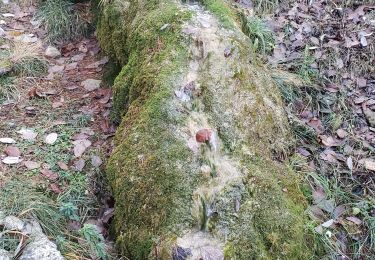 Randonnée Marche Plan-d'Aups-Sainte-Baume - Le sentier merveilleux et les glacières - Photo