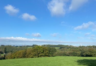 Tour Wandern Blegny - Nifiet2 - Photo