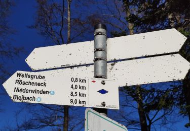 Trail On foot Gutach im Breisgau - Bleibach - Hohe Eck - Photo
