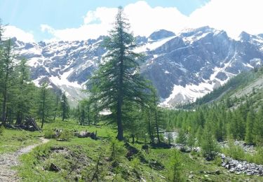 Excursión Senderismo Le Monêtier-les-Bains - Le Monêtier  - Pas de l'âne  - Photo