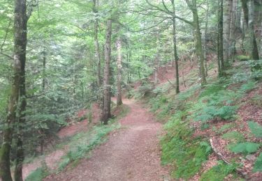 Tour Wandern Aulus-les-Bains - Cascade d'Ars - Photo