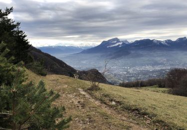 Tour Wandern Saint-Alban-Leysse - MontBasin-2020-12-17 001 - Photo