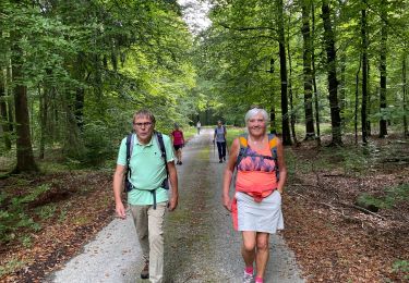 Trail Walking Tenneville - Laneuville-au-bois - Photo