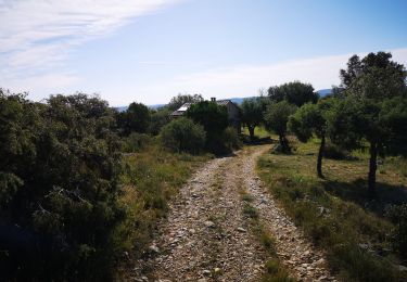 Trail Nordic walking Saint-Ambroix - 08.06.20 piste - Photo